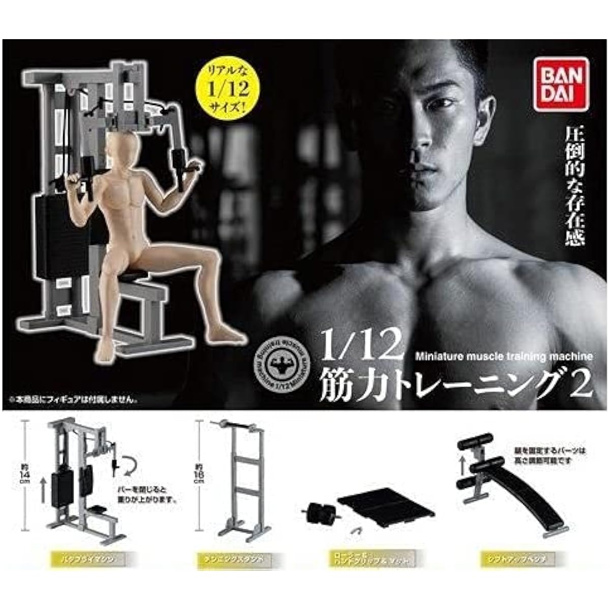 1/12 Muscle training 2 Muscle training 2 [Set of 4 types]