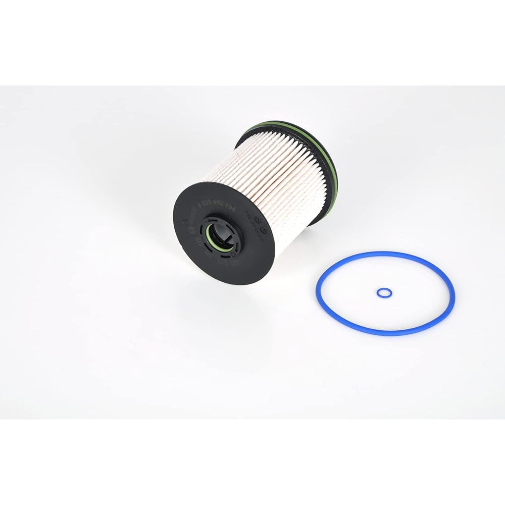BOSCH (Bosch) Fuel filter for car N2795 --F026402795