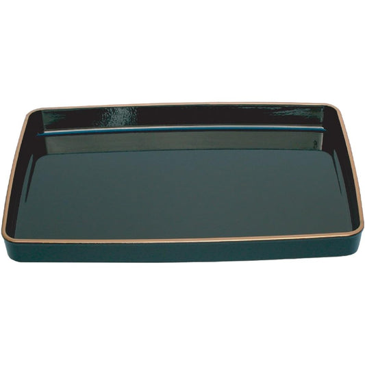 Collect certificate tray plastic 548X382X55 T-18P