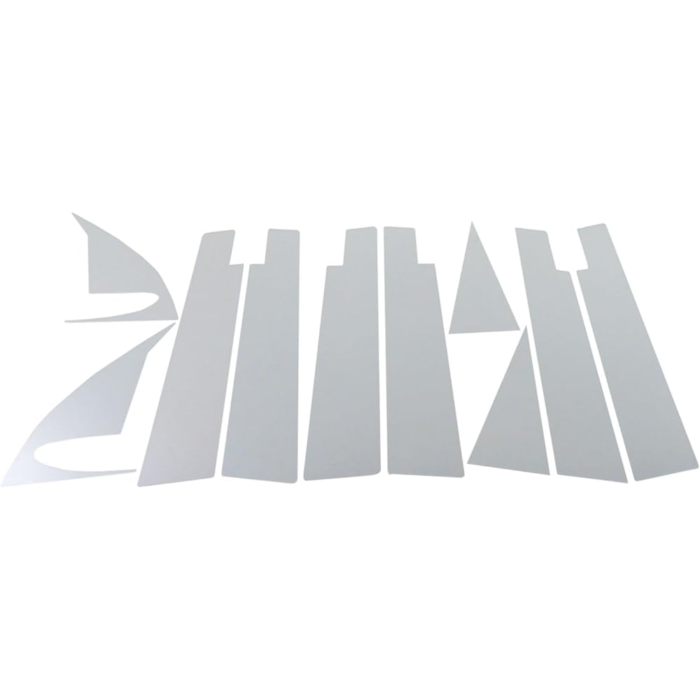 BRIGHTZ X-Trail T31 Series Super Mirror Surface Stainless Steel Pillar Panel 10PC Visor Useful [PIL-SIL-123] 1277