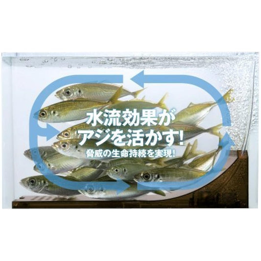 MEIHO Ajikan Cyclone 12L