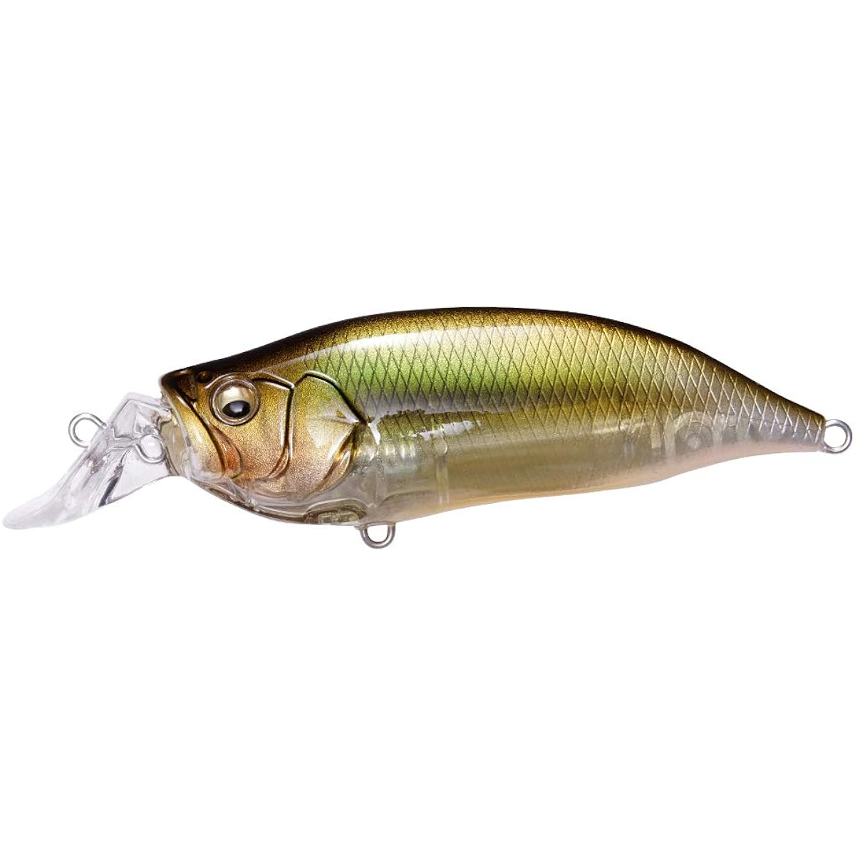 Megabass Lure IXI SHAD TYPE-R ITO Moloko