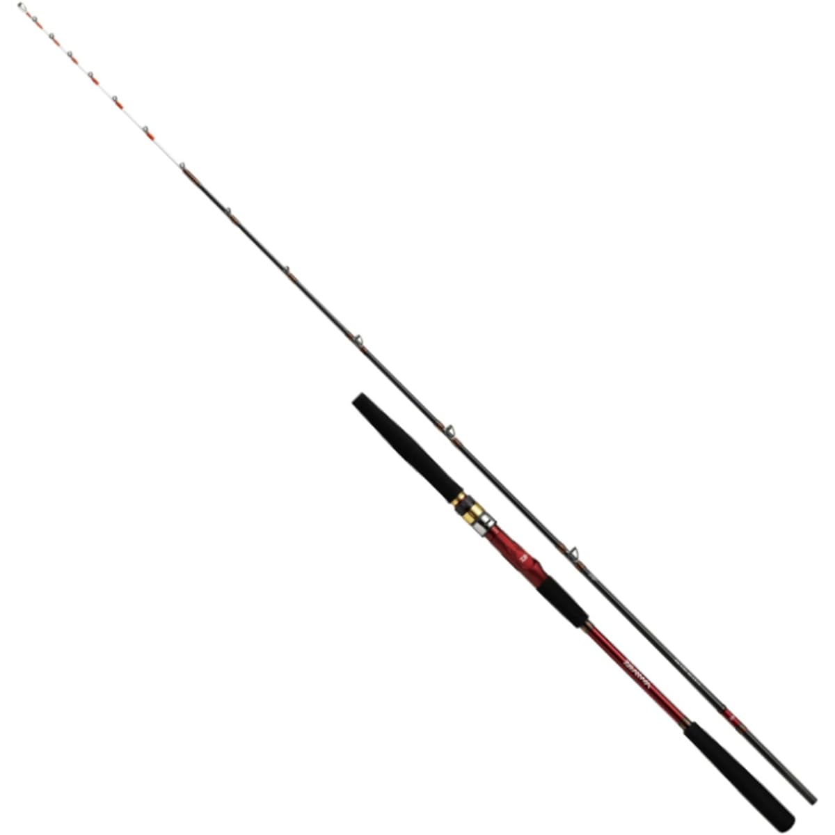 DAIWA boat rod Analyst Bishiaji fishing rod