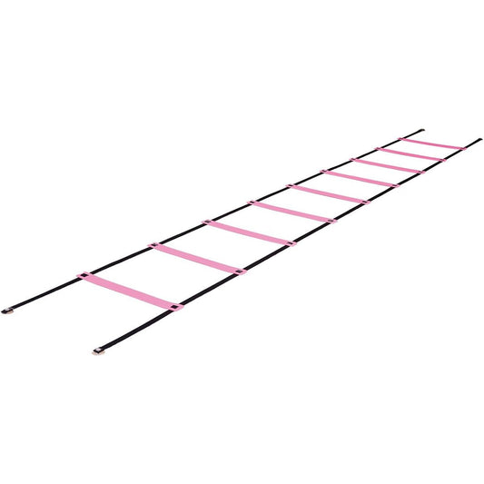 NISHI (Nishi Sports) Training Equipment Ladder Indoor Use NT7705