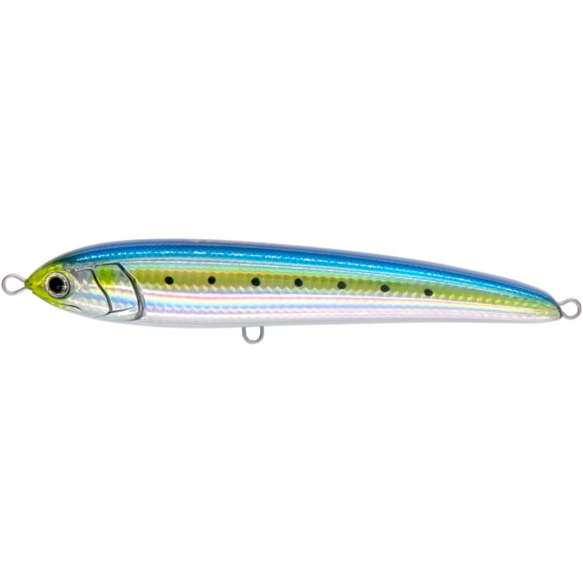 YAMASHITA Lure Rapide F190 B01H Sardine