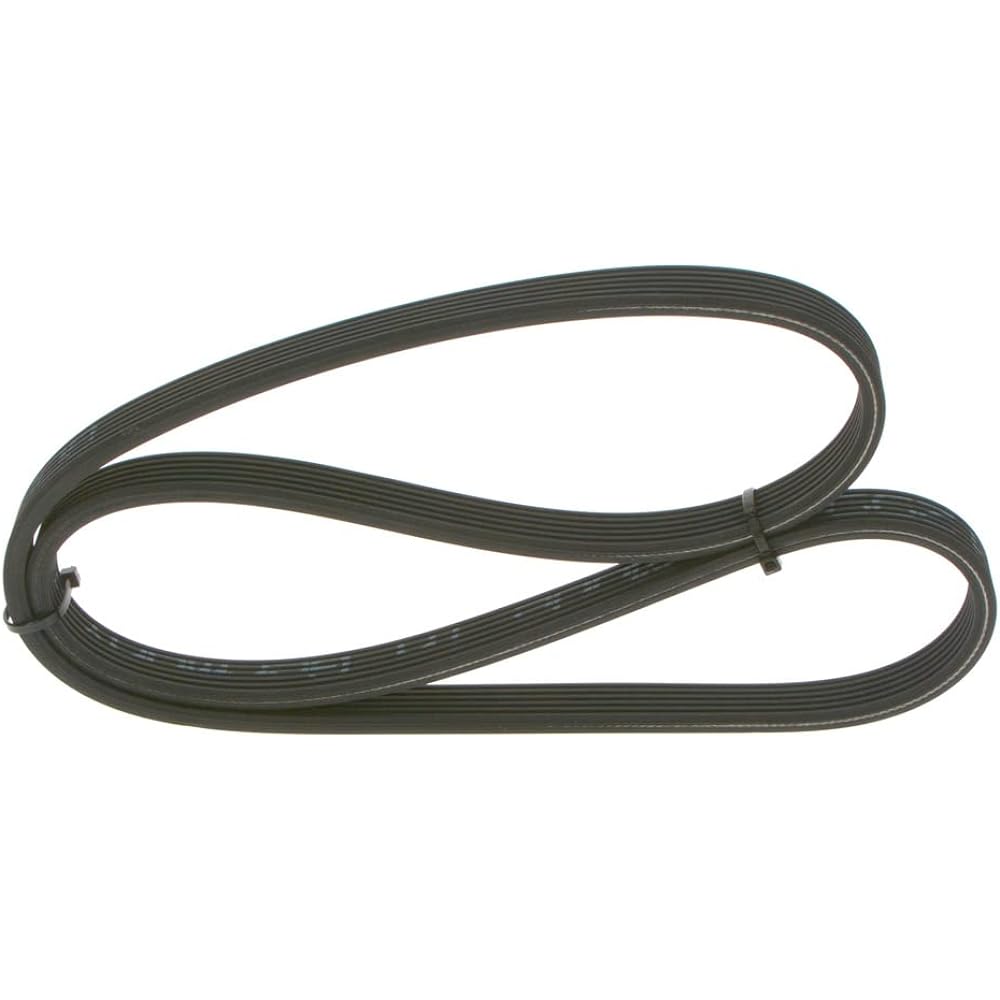 Bosch (BOSCH) Ribbelt 6DPK1195 1987946200
