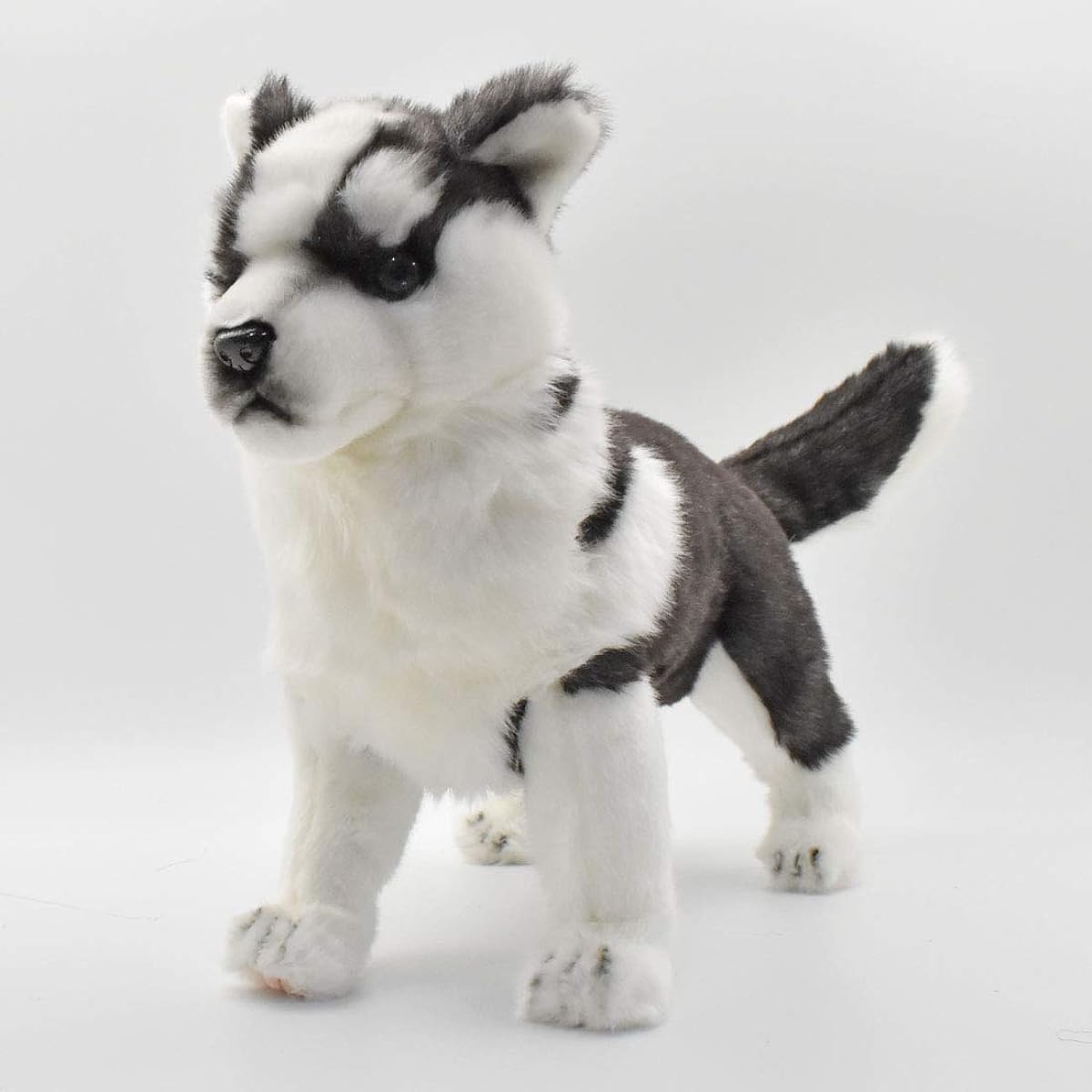 BH7512 HANSA Siberian Husky Pup 43