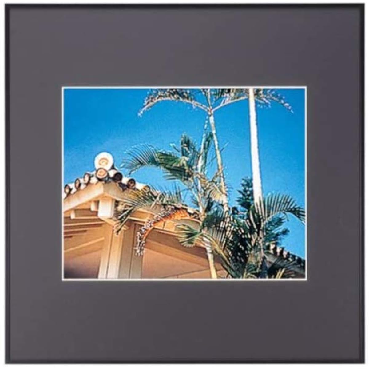 FUJICOLOR Picture Frame Square Mat Frame HQA202 Acrylic 4 Cut Aluminum Black 303128