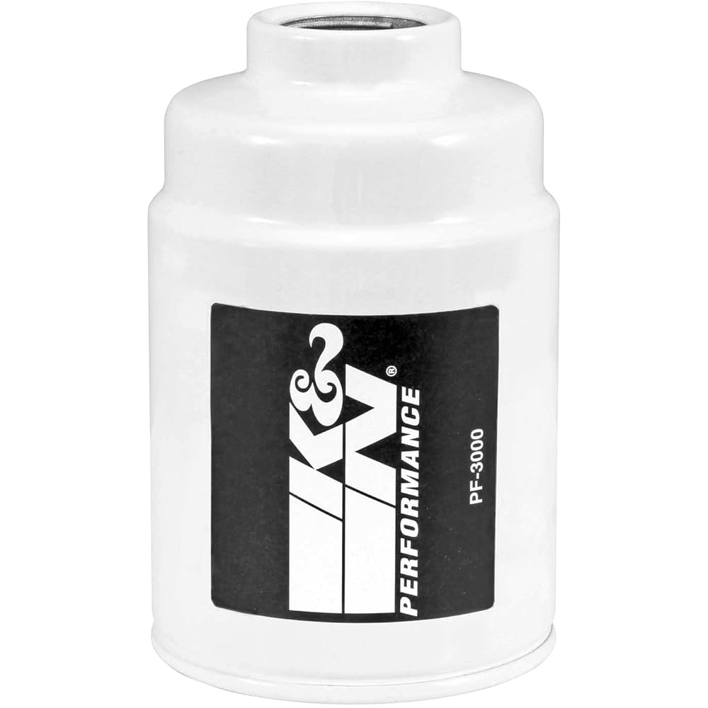 K & N fuel filter PF-3000