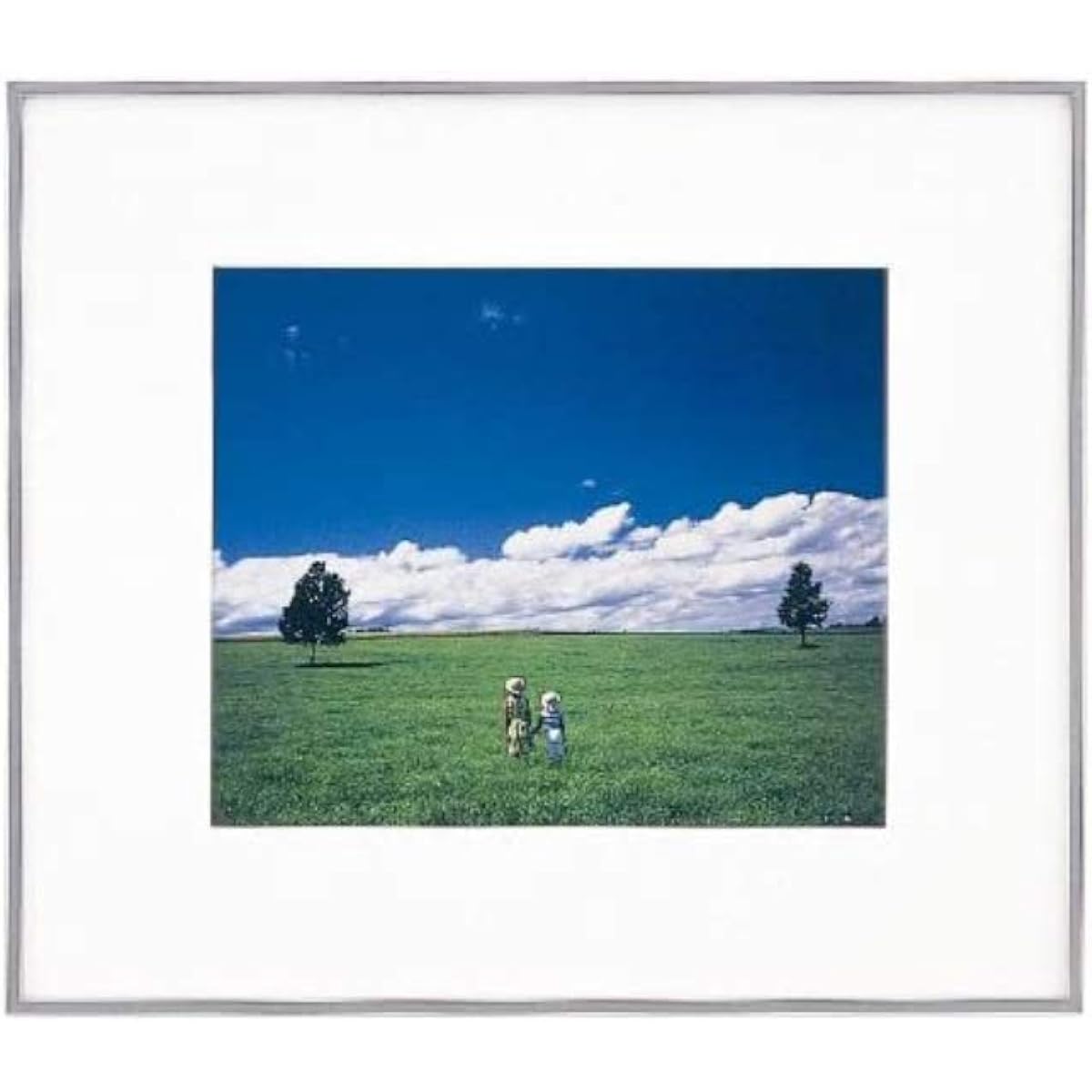 FUJICOLOR Picture Frame Wide Matte Frame A5010 Acrylic Full Paper Aluminum Silver 303593