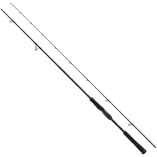 SHIMANO 19 Tairaba Engetsu Extune Casting Model S66M/S72MH