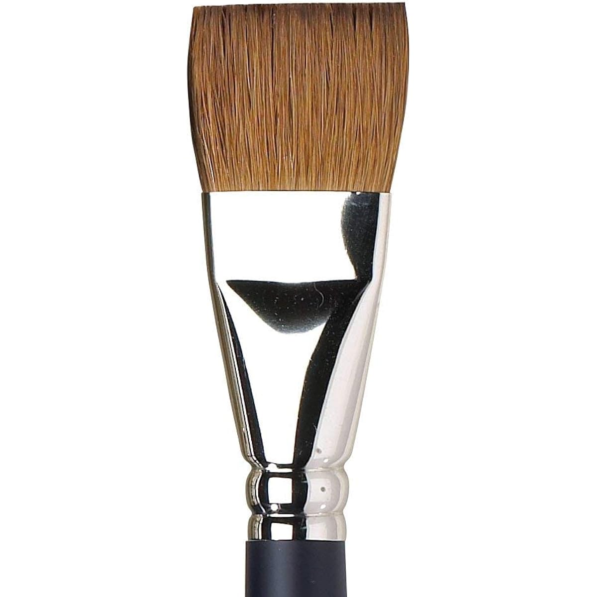Winsor & Newton Watercolor Brush Professional Watercolor Sable Brush One Stroke 25mm 1 inch 19904125