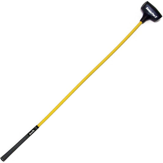 RyomaGOLF SWING PRO 2 Outdoor with DVD