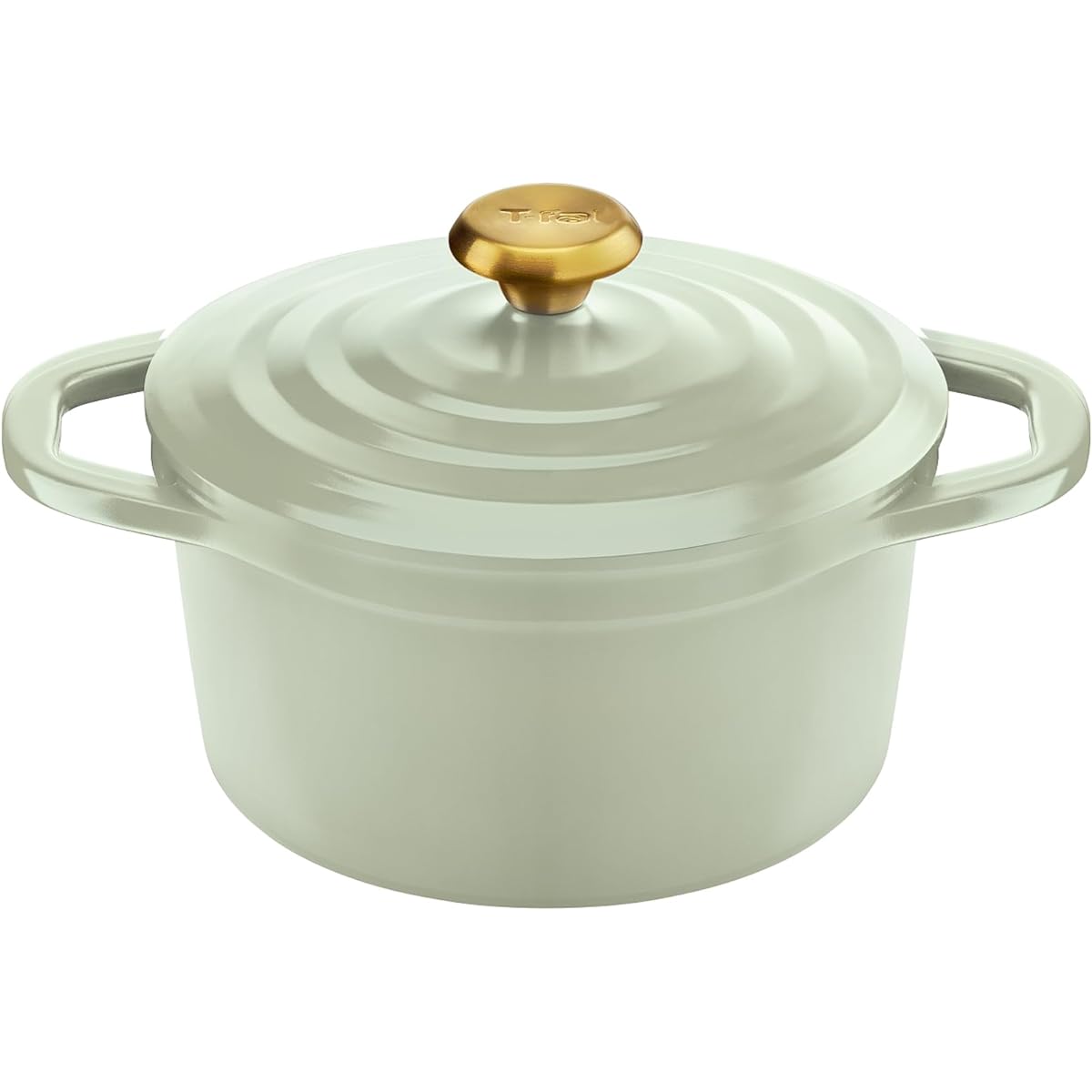 [Online Only] Tefal T-fal Cocotte Pot 20cm Two-handled Pot Light so you'll want to use it every day Non-stick Anhydrous cooking Compatible with IH and gas fires "Castline Air Cocotte" Cast iron Enamel-like luster E26744 Sage Green