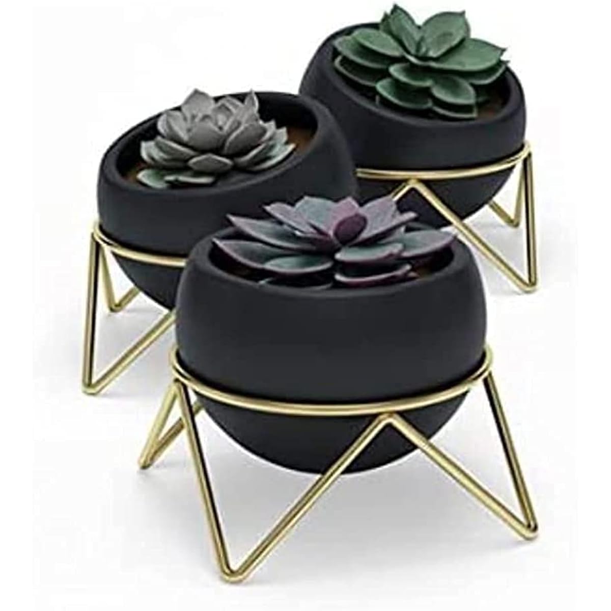 umbra Planter Set of 3 Umbra Posy Potsy Planter 3pcs Set Black X Gold Flower Pot Pot Ornamental Plant Gardening 210131911137 Black x Gold