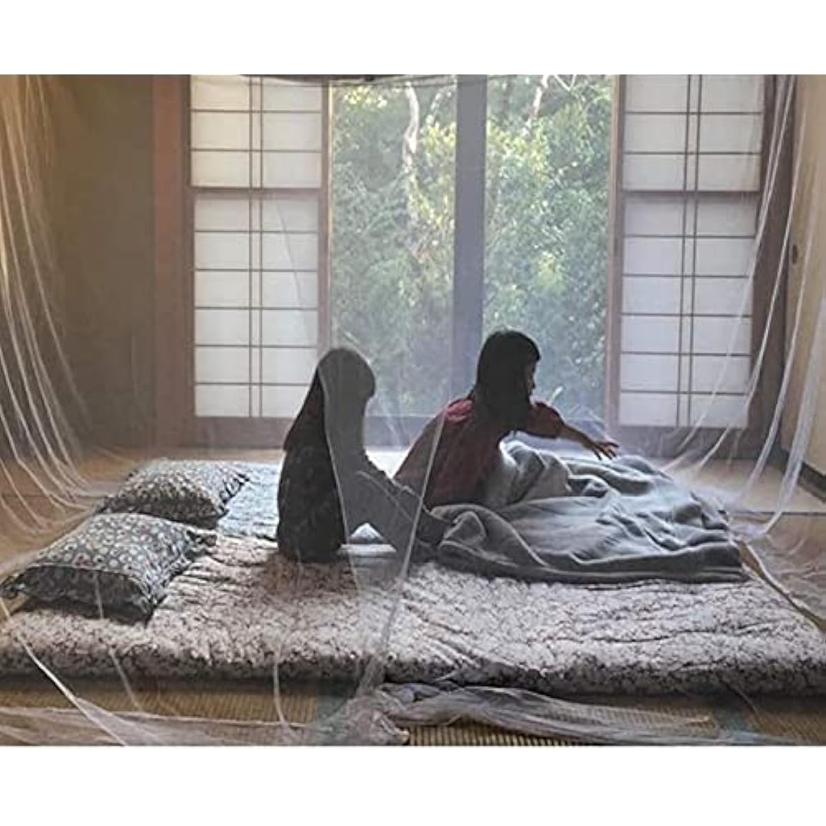 (Aideaz) Extra Large Mosquito Net, Choose from 4m 10 tatami or 3m 6 tatami Large King Size Camping Outdoor Baby Centipede Insect Repellent (Cannot be opened/closed, installation hook and string included, 4m)