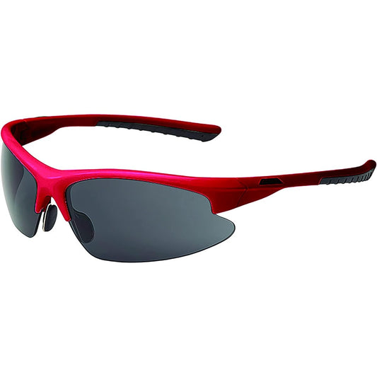 ALPINA DRIBS 2.0 Sunglasses