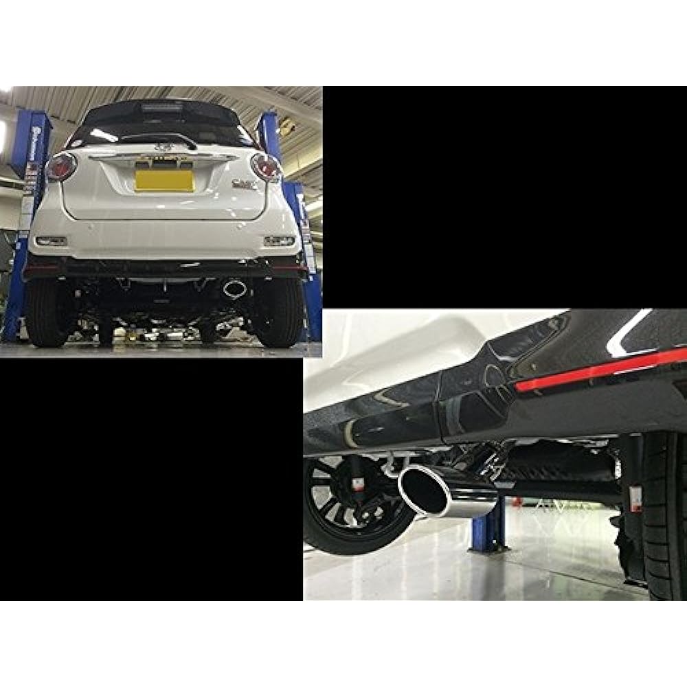 D-SPORT Premium Muffler Cutter S3 17401-E011