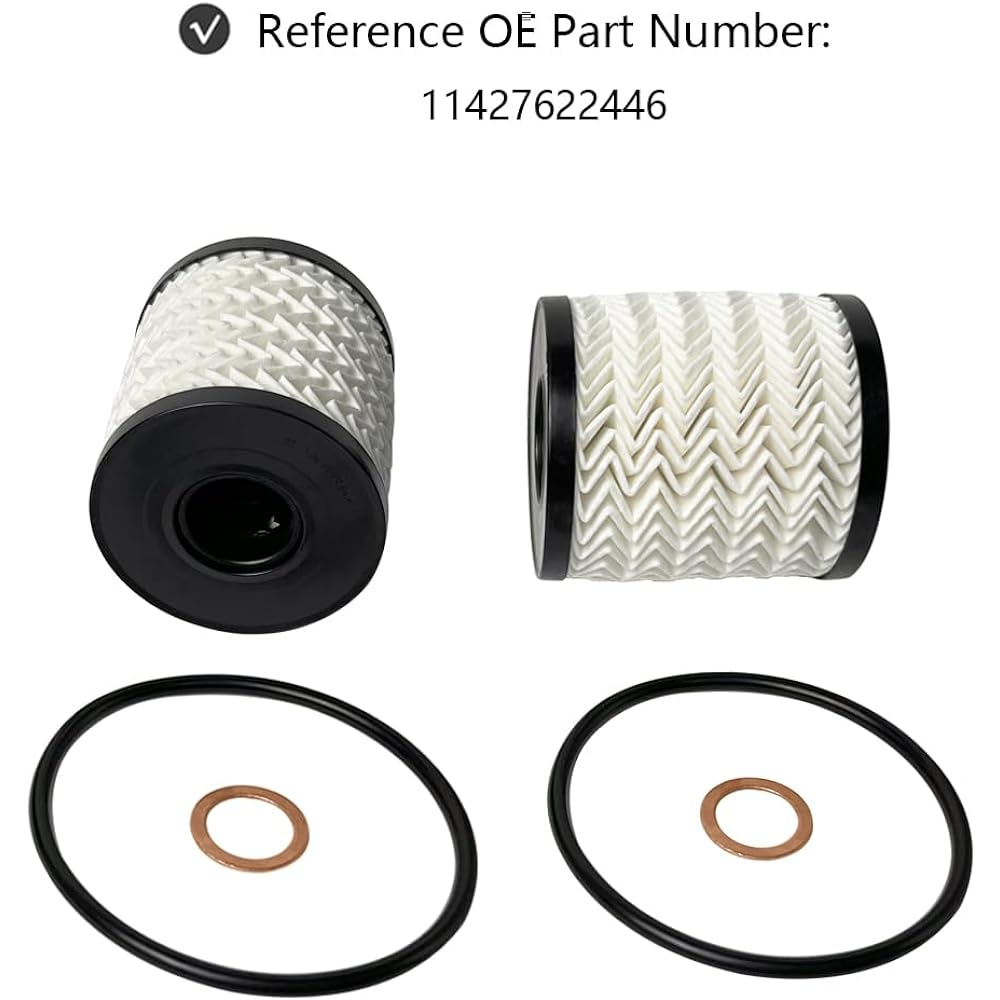 Engine oil filter kit 2 replacements