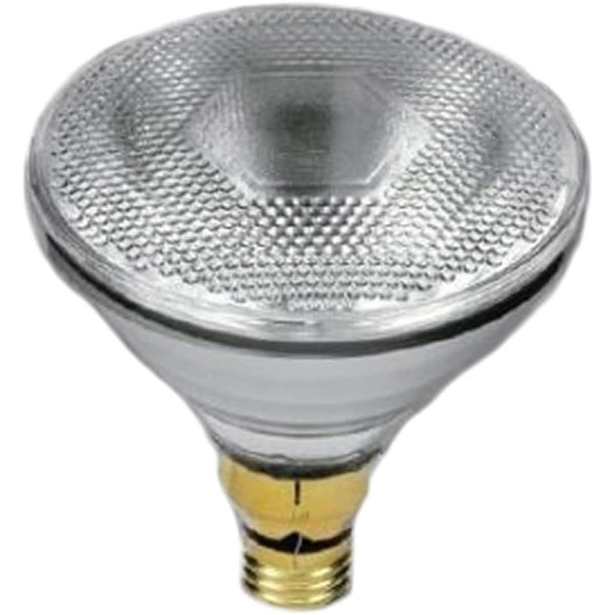 Panasonic [For both indoor and outdoor use] High beam light bulb diffused type 100 type E26 base BF110V80W/D