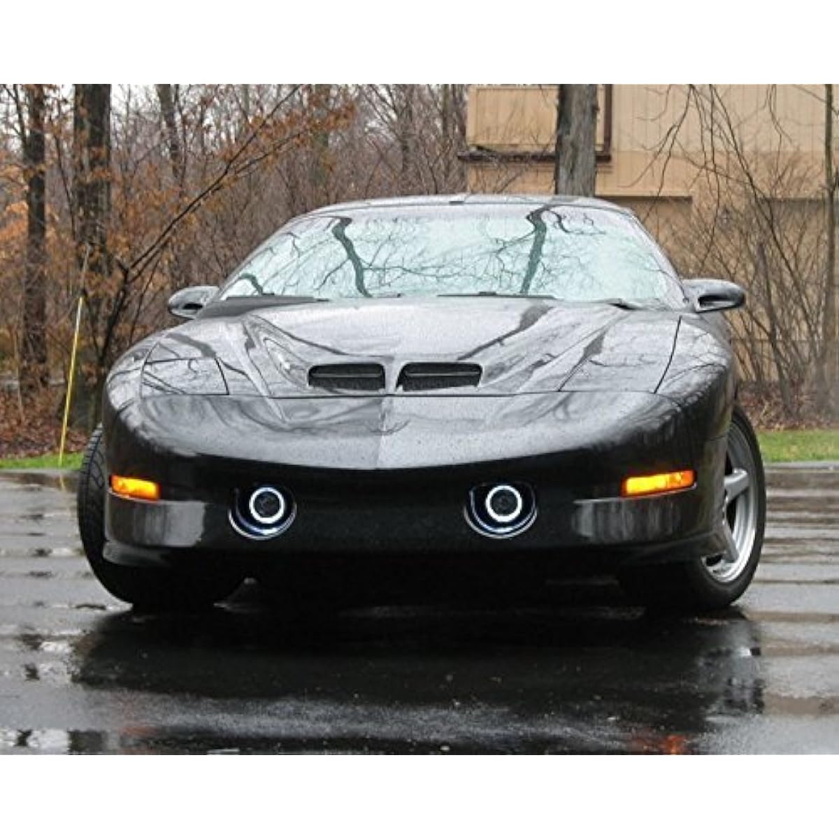 White LED Hello Fog Landrite. 1993-2002 Compatible with Pontiac Transam.