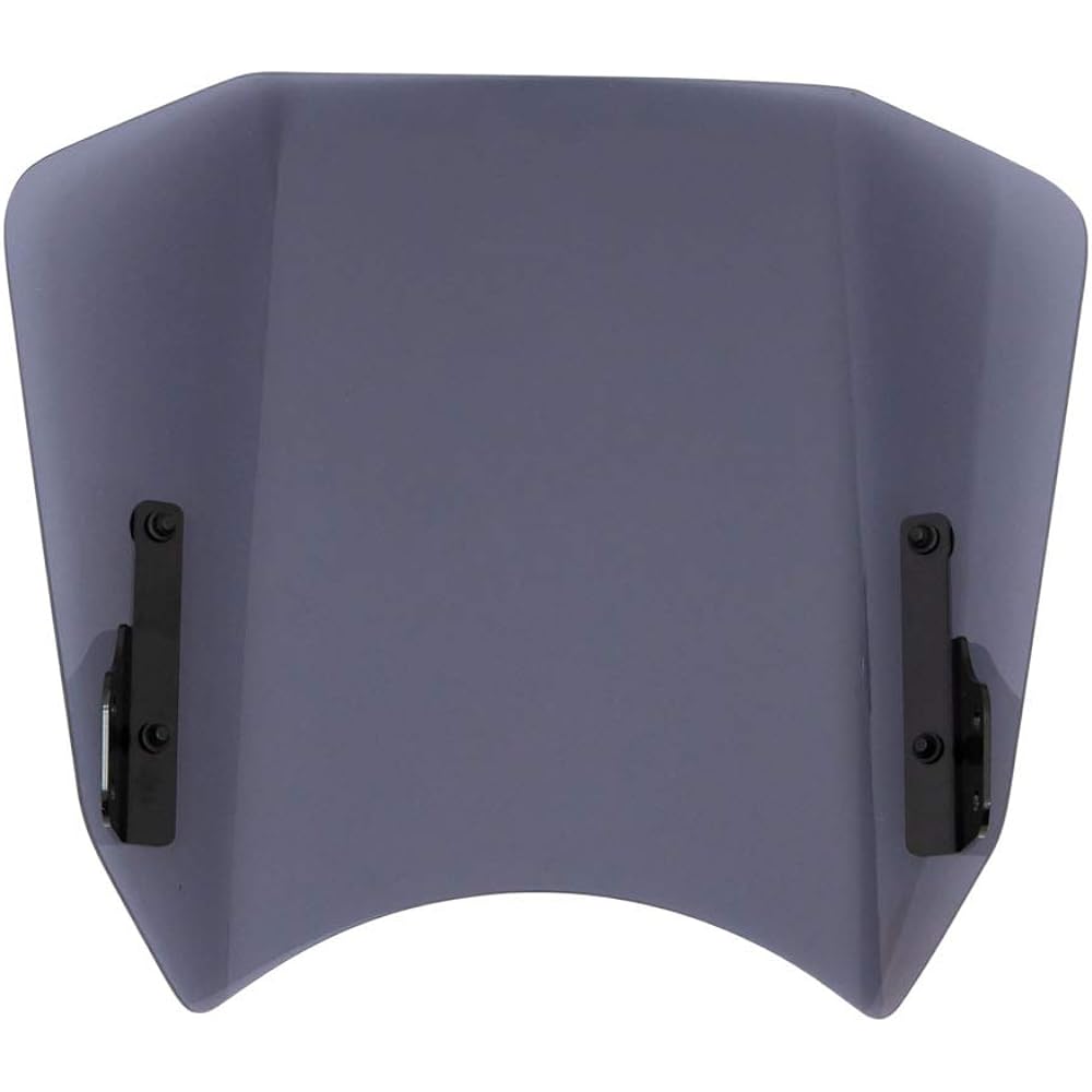 MORIWAKI Meter Visor Kit Rebel 250/500 17-19 Semi Smoke 06130-2A1P6-S0