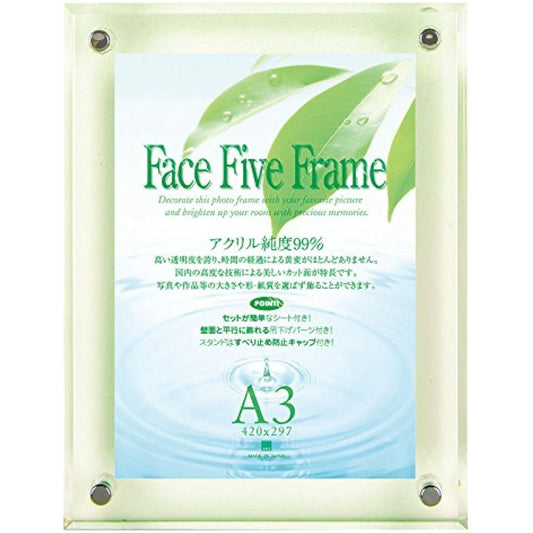 APJ Face Five Frame (N) A3 Green