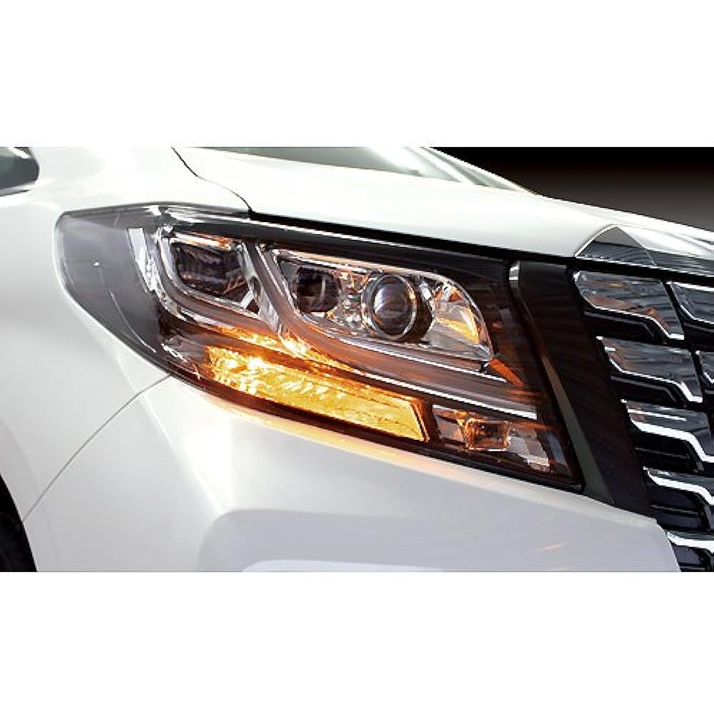 Carmate Car Turn Signal LED GIGA S25 6500K 250lm 2 Pieces Amber Made in Japan Vehicle Inspection Compatible BW328