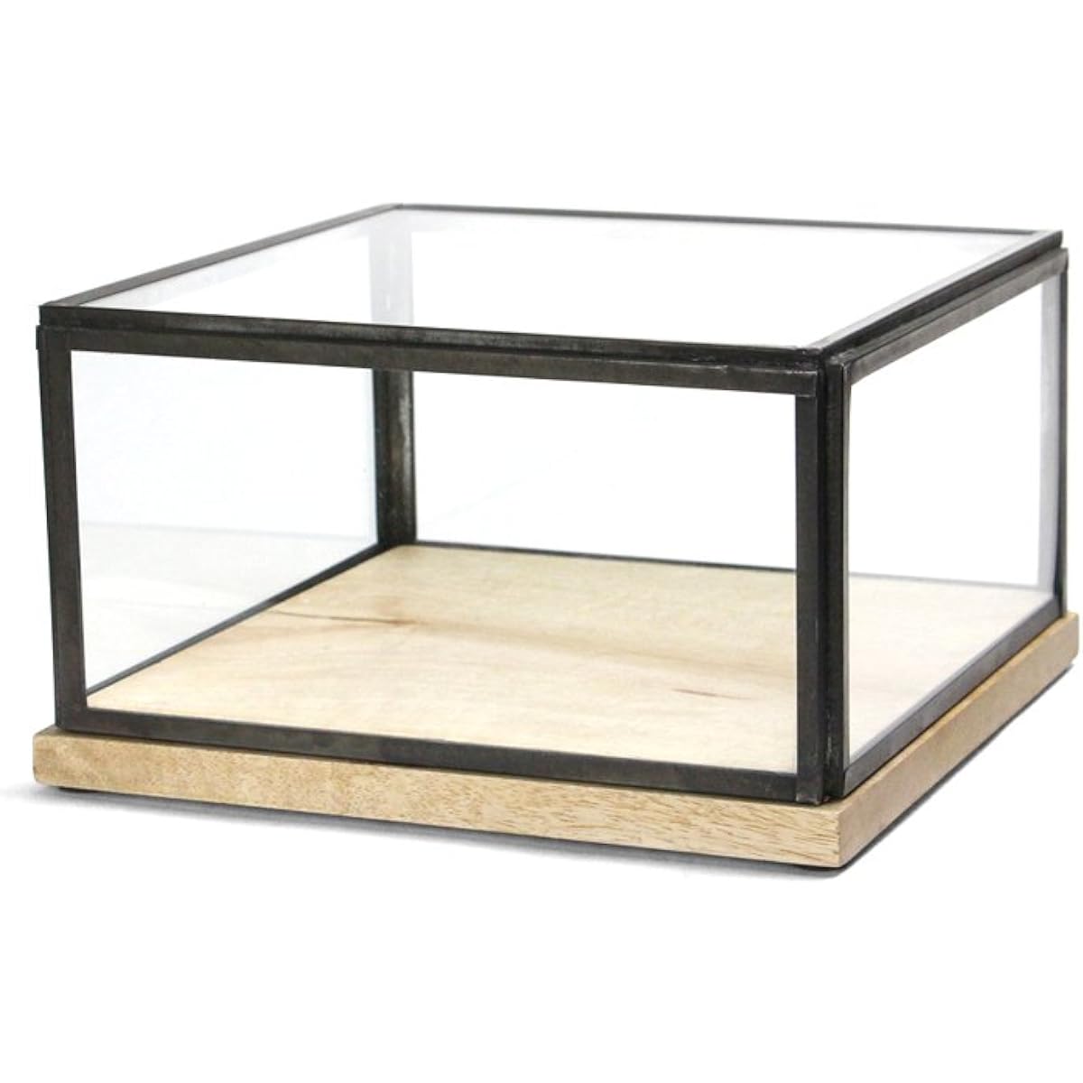 DETAIL Display Cabinet Display cabinet S size 3248S