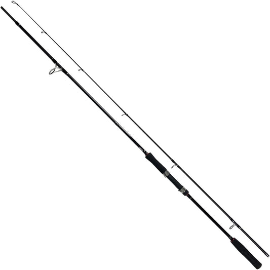 Glory Fish Rod Salt System Light Shore Jig