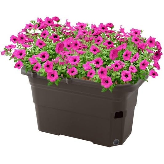 [Case sales] Richel Uruon Planter 65 type DB 8 pieces