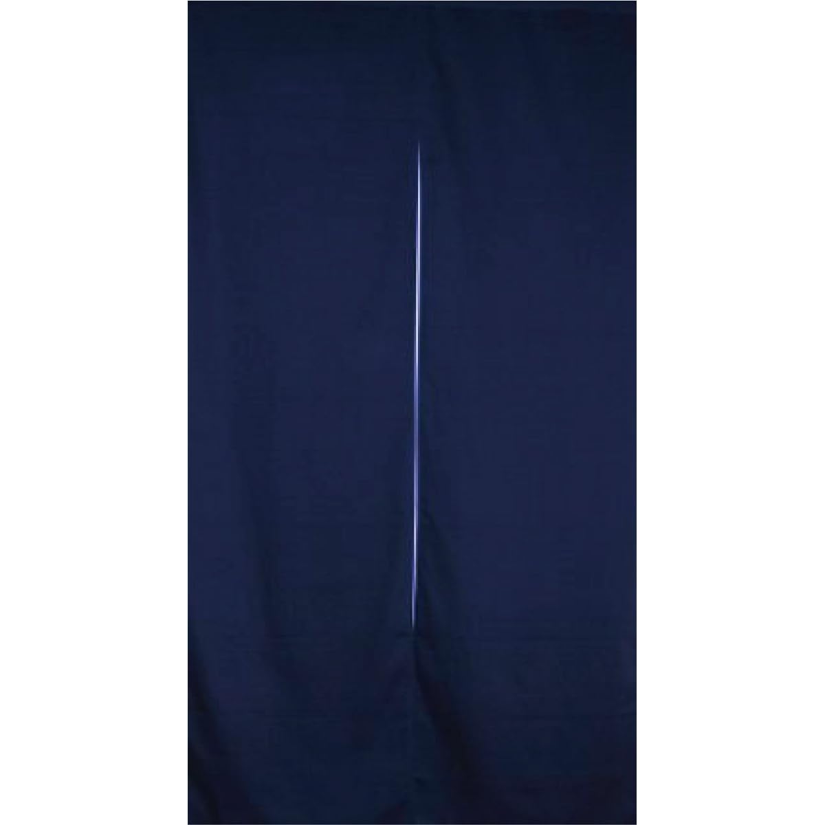 Yokohama Noren Monogatari Flame-retardant thick-colored plain curtain filled with cotton "Karasumi" W85H180cm