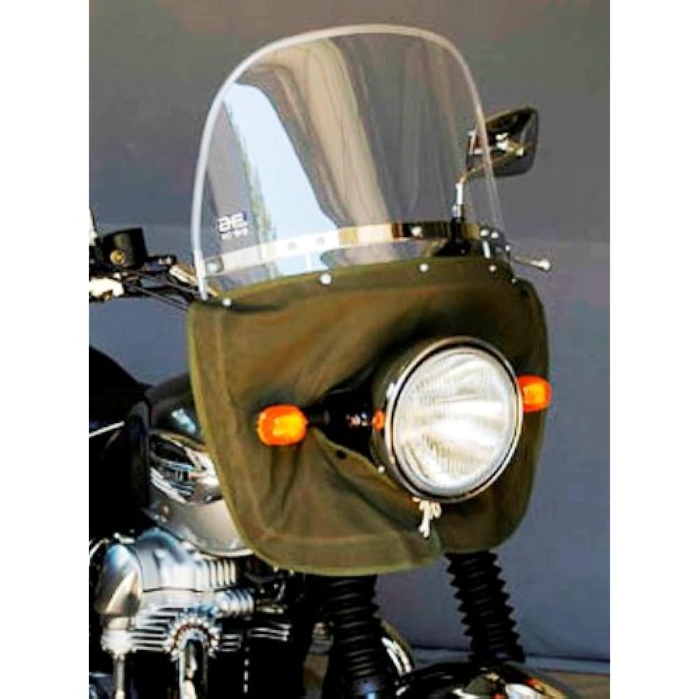 Asahi Windshield Windshield [W650] [Product Number] No99MINI Screen