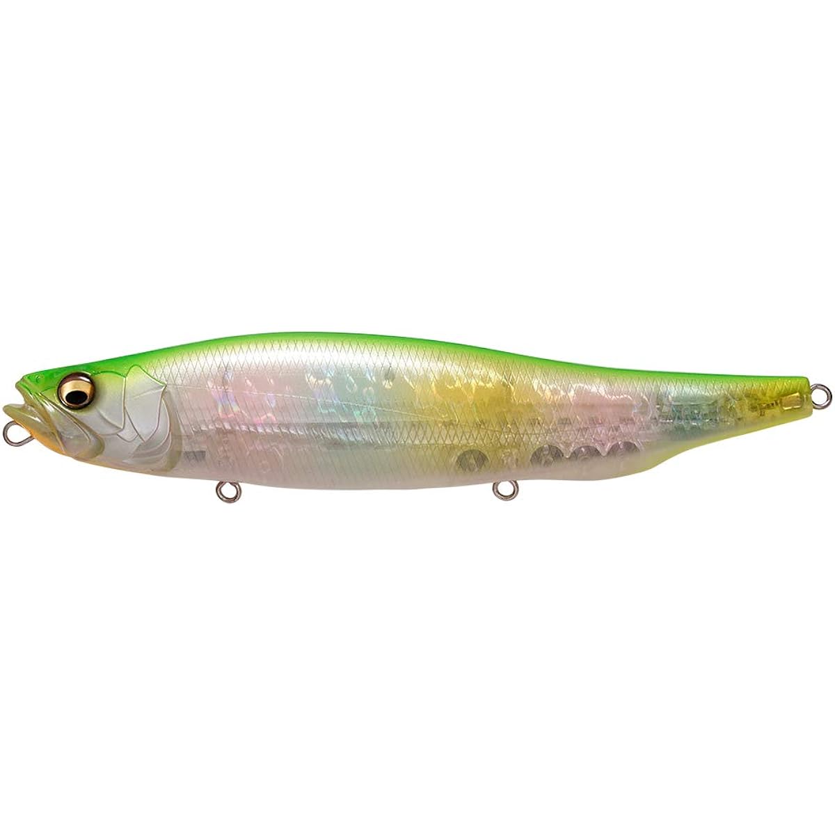 Megabass Lure MEGADOG GP Lime Rainbow