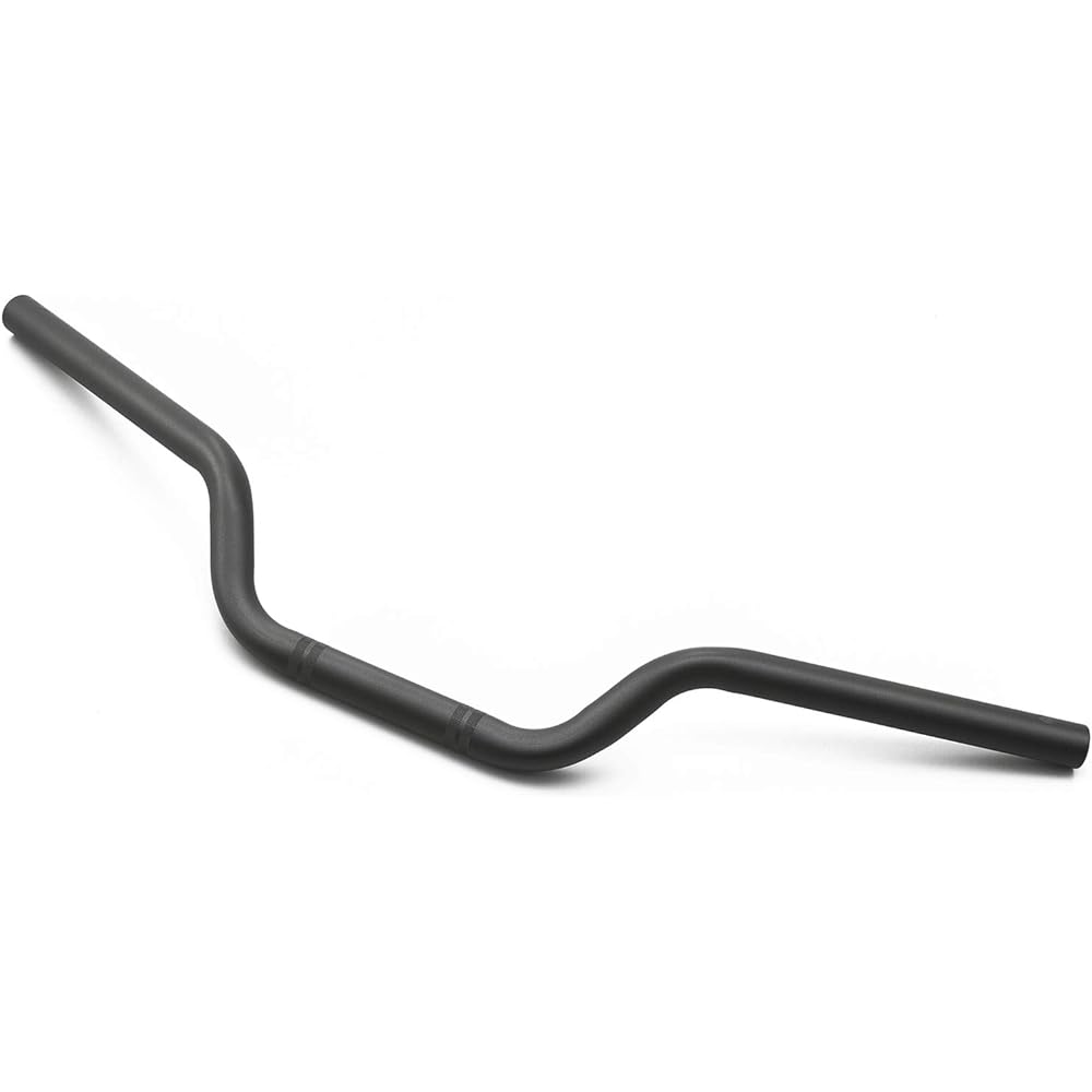 Daytona Motorcycle Handlebar for Rebel 250/500 (17-21) Distant Handle Countermeasure Inner Weight 145 Matte Black 15421