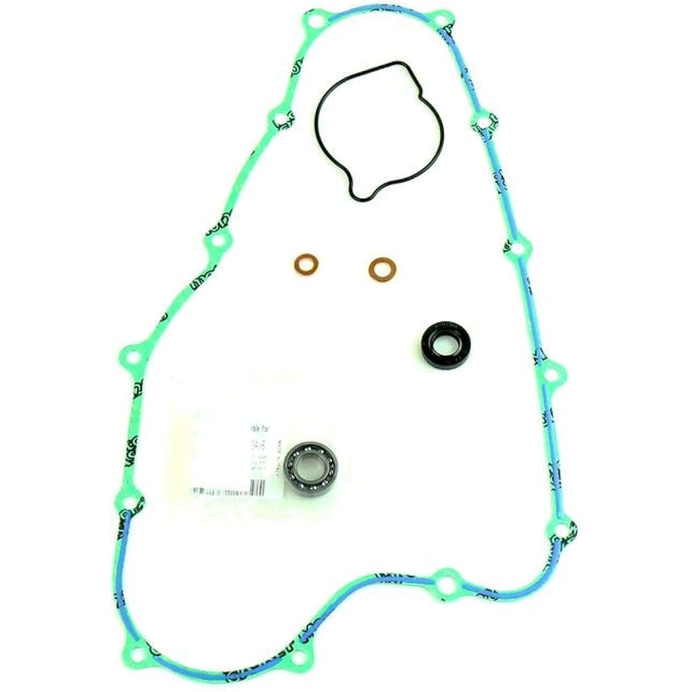ATHENA PARTS P400210475010 With Black Water Pump Gasket Kit Bearing