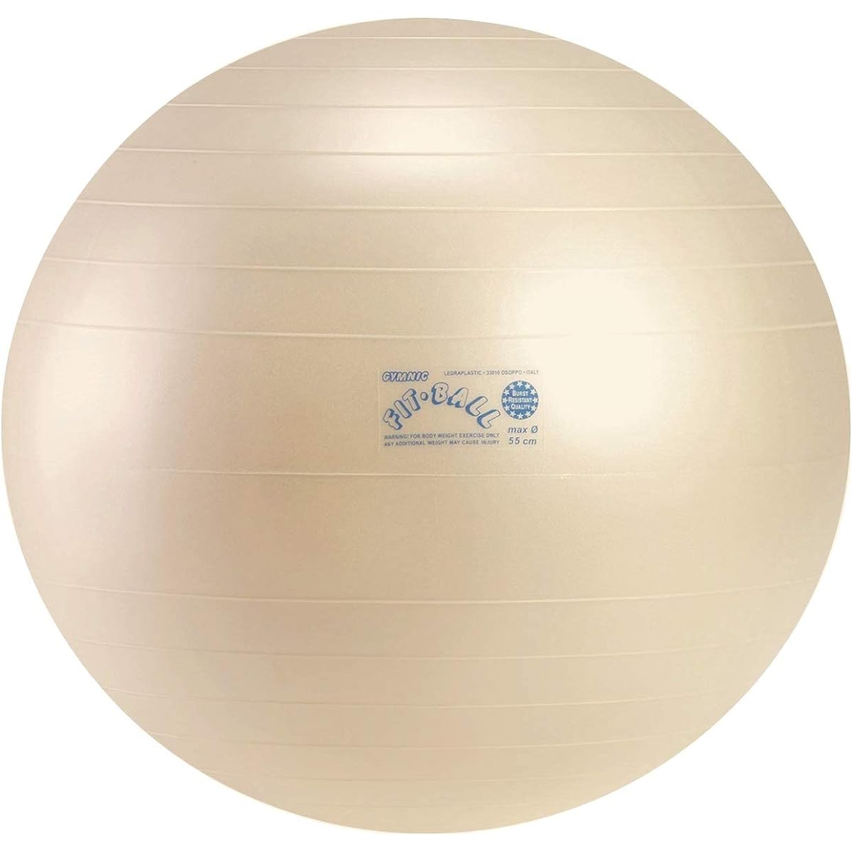 Gymnic Fit Ball 55 [Balance Ball Fit 55]