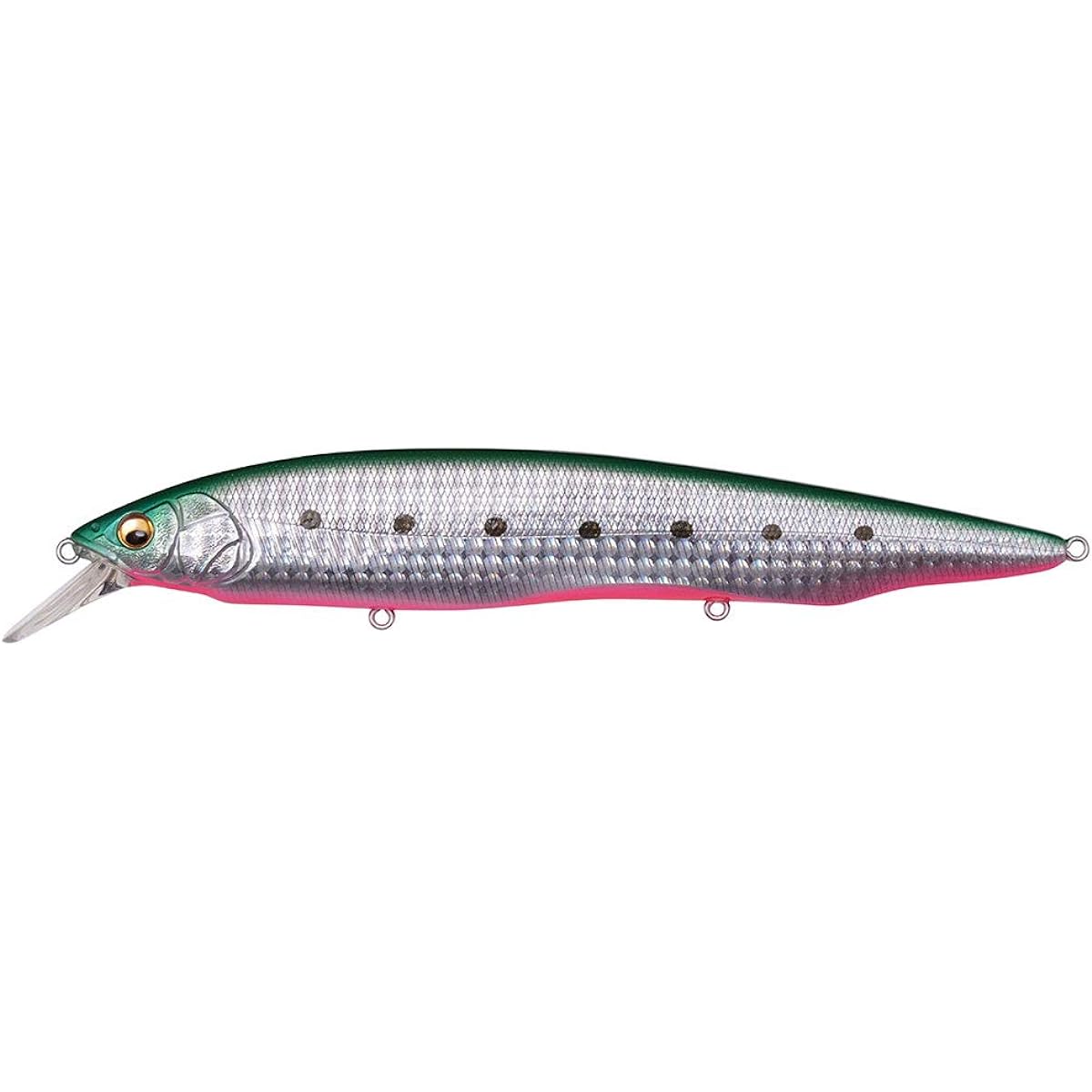 KANATA Ayu SW (Kanata Ayu SW) Oil Sardine