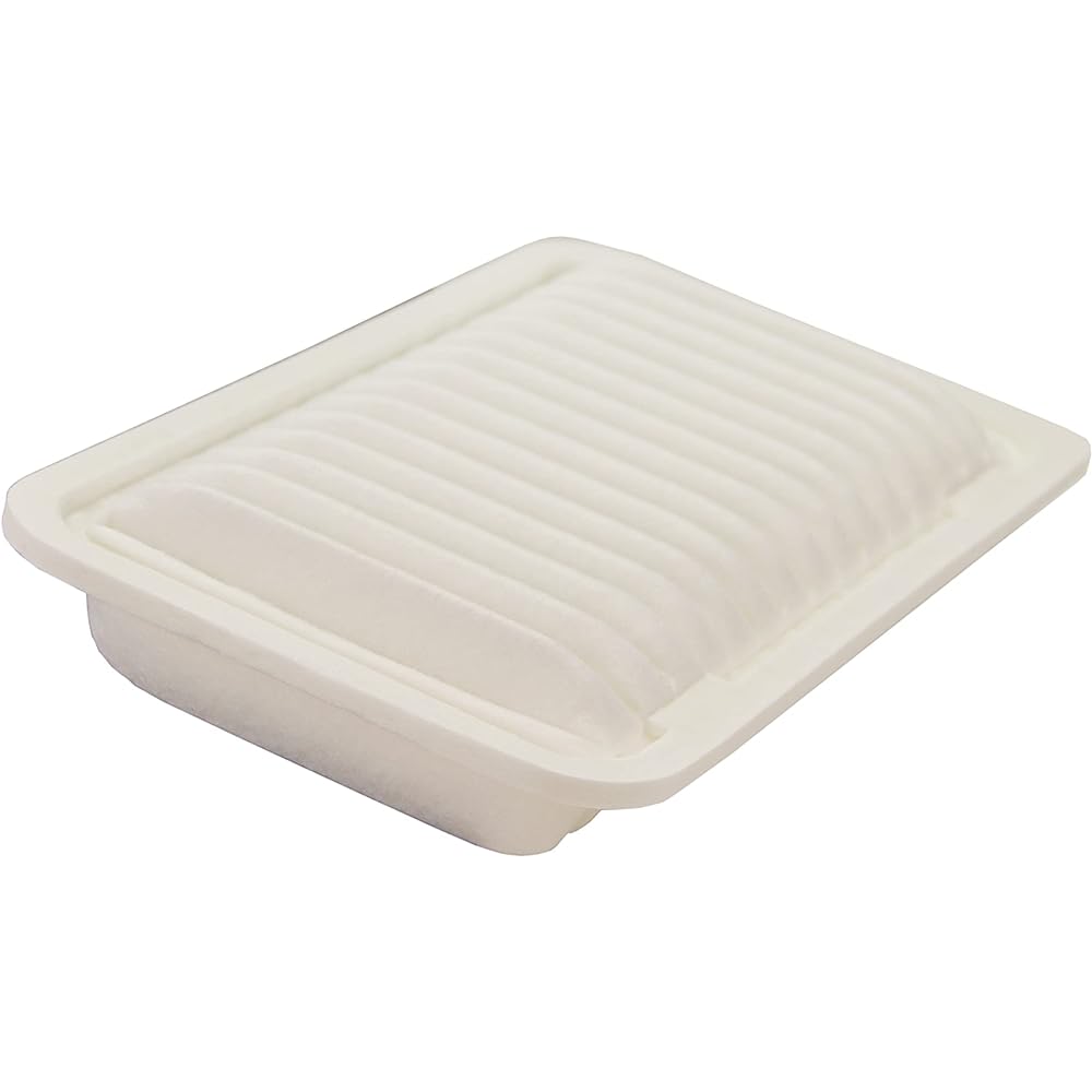 ECOGARD XA5463 Air filter