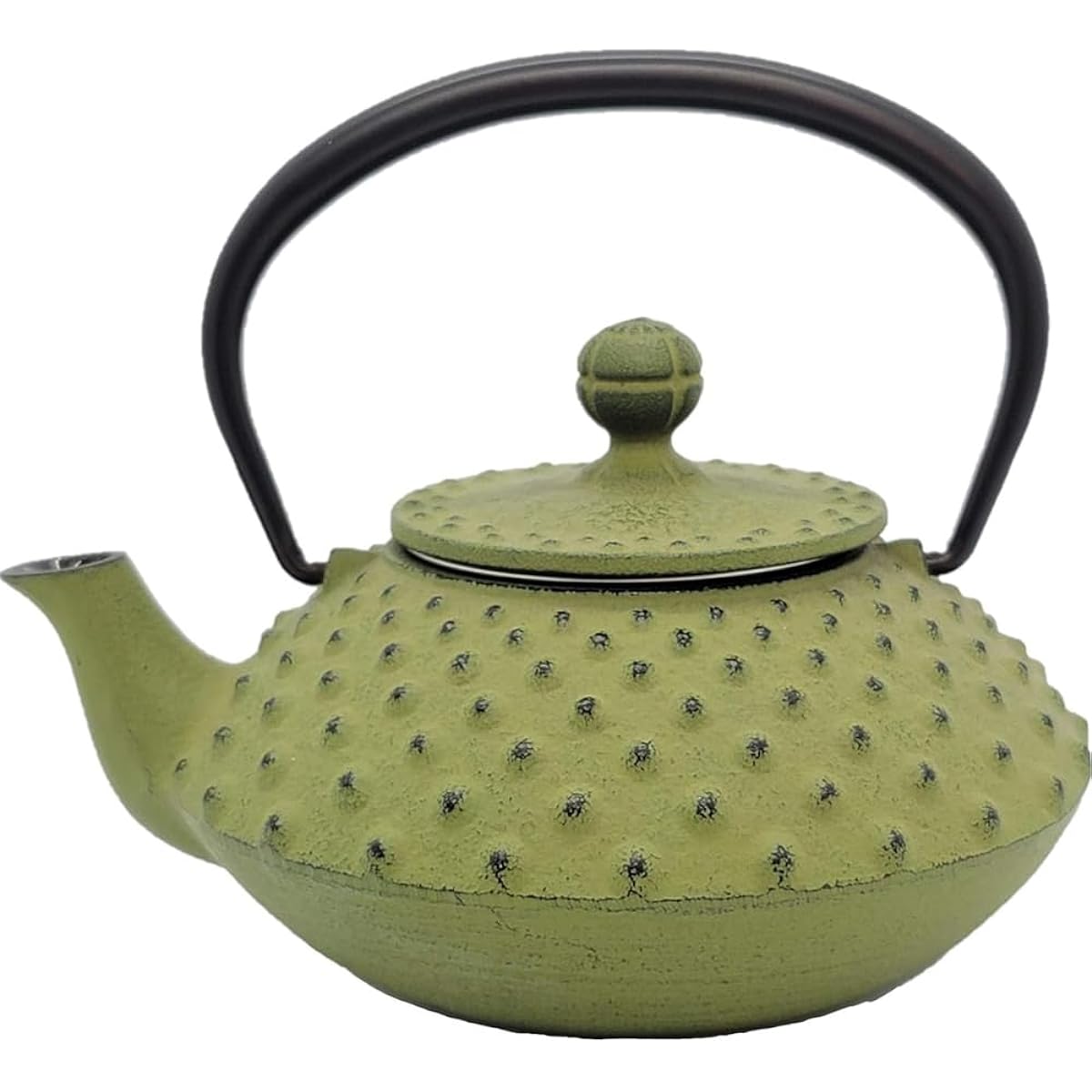 Iwachu Teapot 3 Type Flat Arale Wakakusa 0.35L Enamel Inside Nambu Ironware 12641