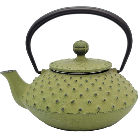 Iwachu Teapot 3 Type Flat Arale Wakakusa 0.35L Enamel Inside Nambu Ironware 12641