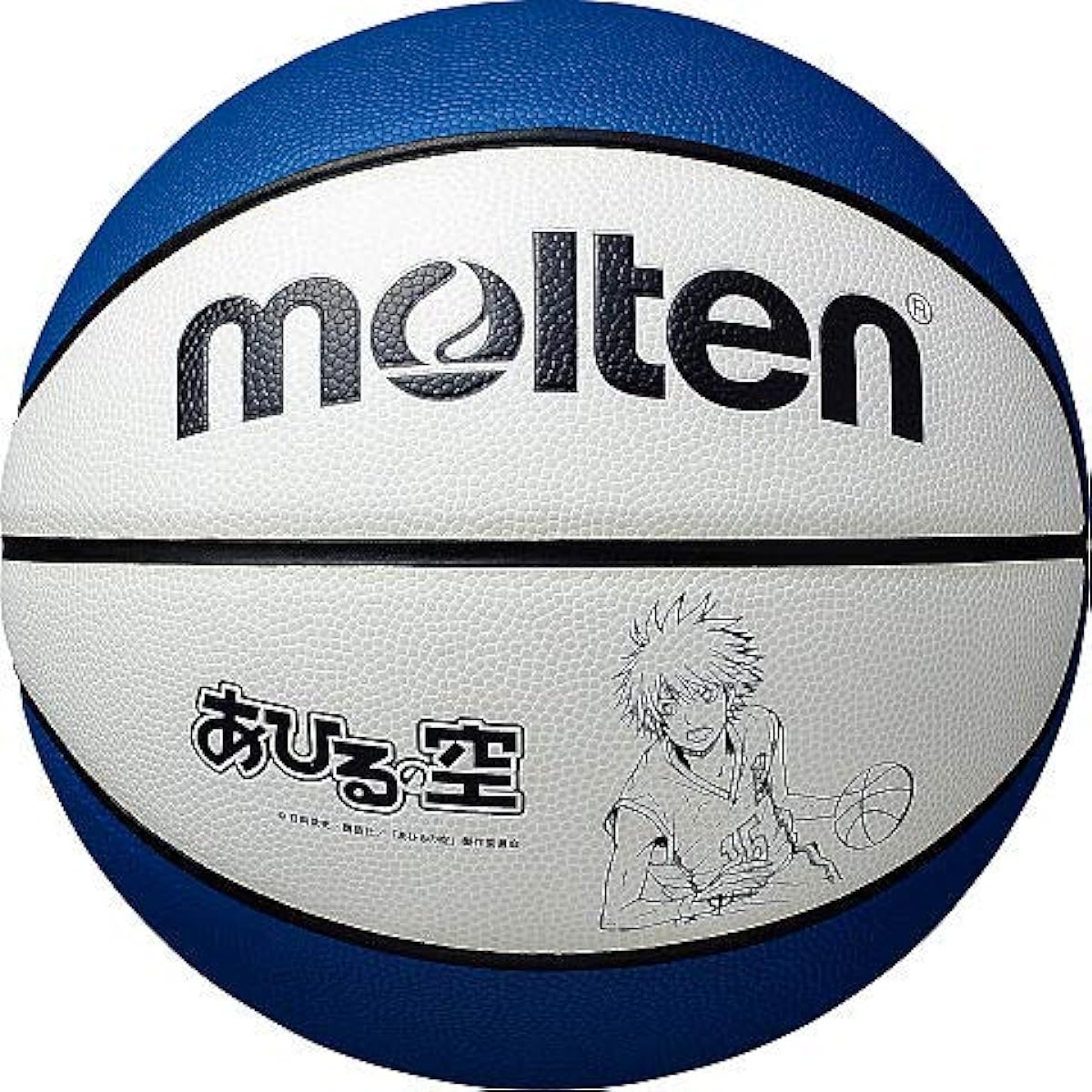 (Molten) MOLTEN Duck Sky Collaboration Ball No. 5
