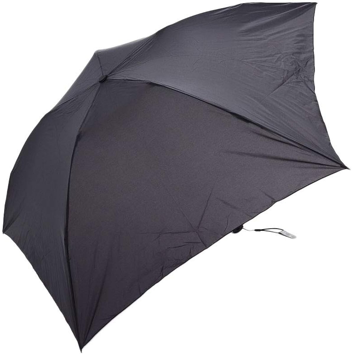 EVERNEW SL76g Umbrella EBY053 10 Black