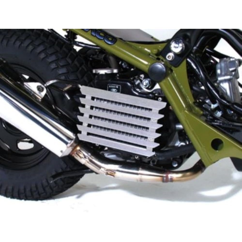 KITACO Radiator Grill Silver Zoomer etc. 660-1125710