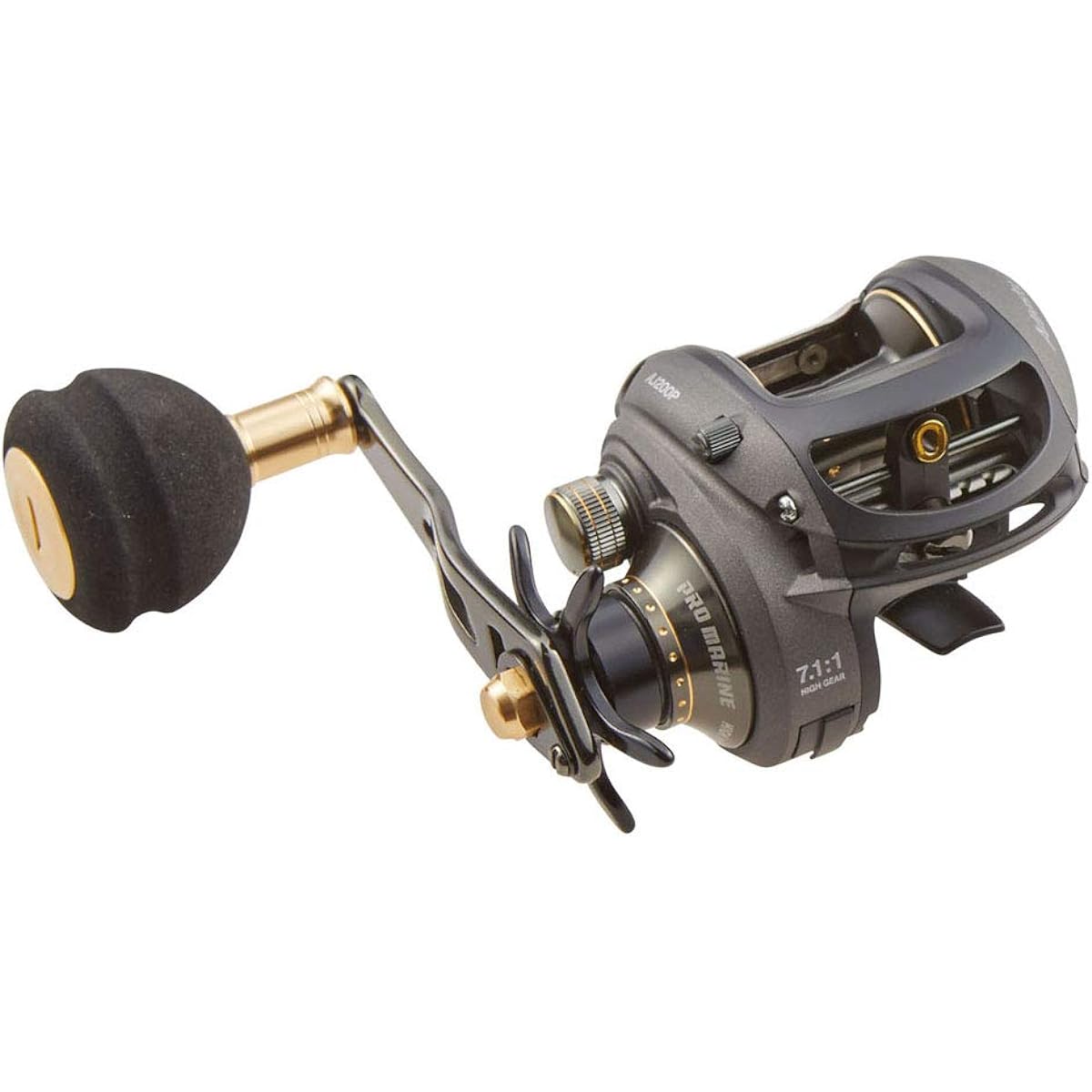 PRO MARINE Reel Adjusty AJ200P AJ200P Pro Marine Fishing Reel Bait Reel Double Axis