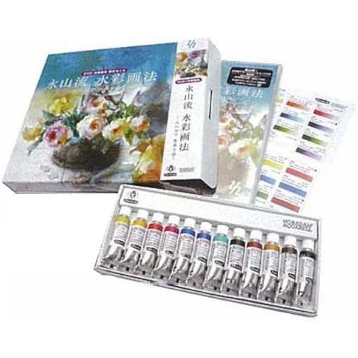 Schmincke Horadam tube special selection 12 colors set Yuko Nagayama DVD set