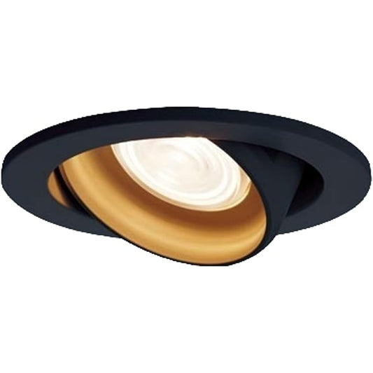 Panasonic Universal Downlight Light Bulb Color/Concentrating/Dimming/φ100 60 Shape Black LGD1423LLB1