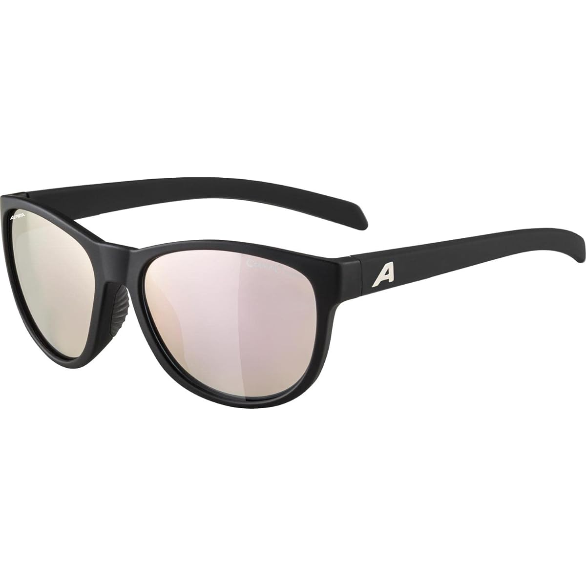 [Alpina] Sunglasses NACAN II