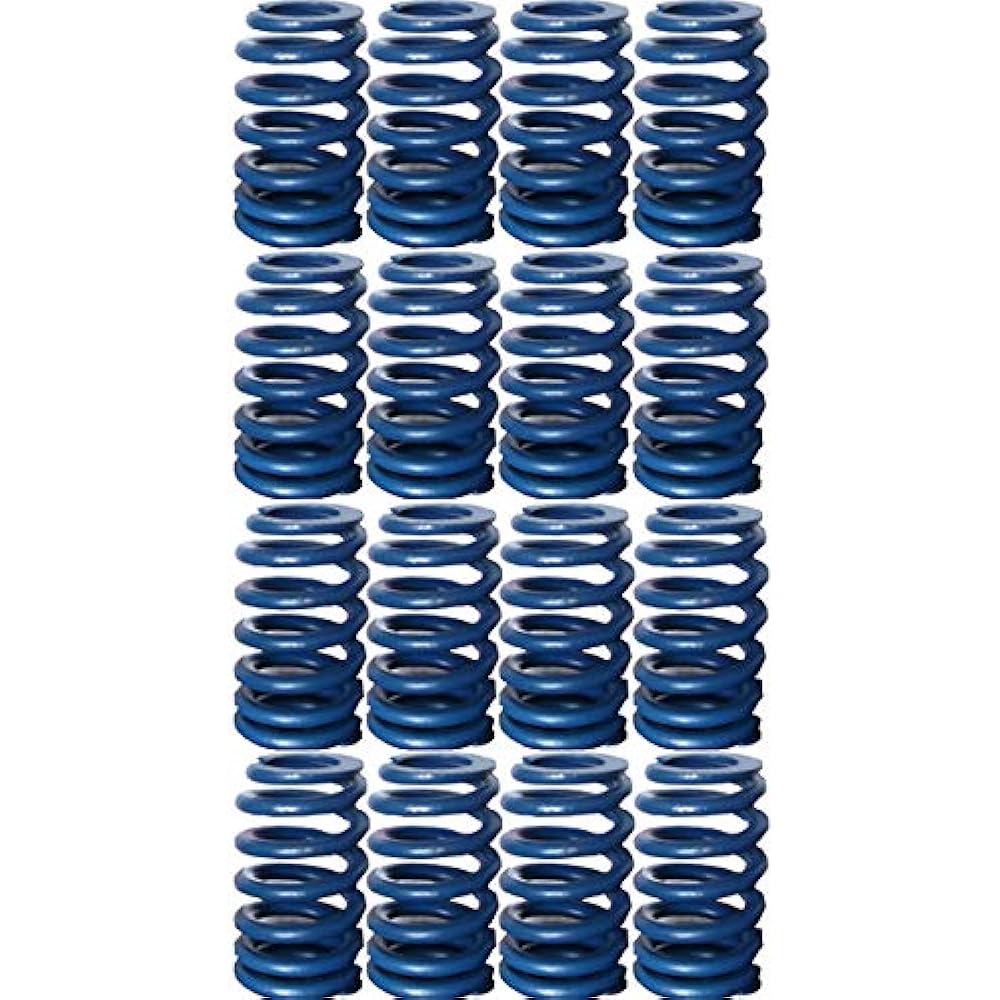 GM Performance Parts 12499224 Spring PKG VLV