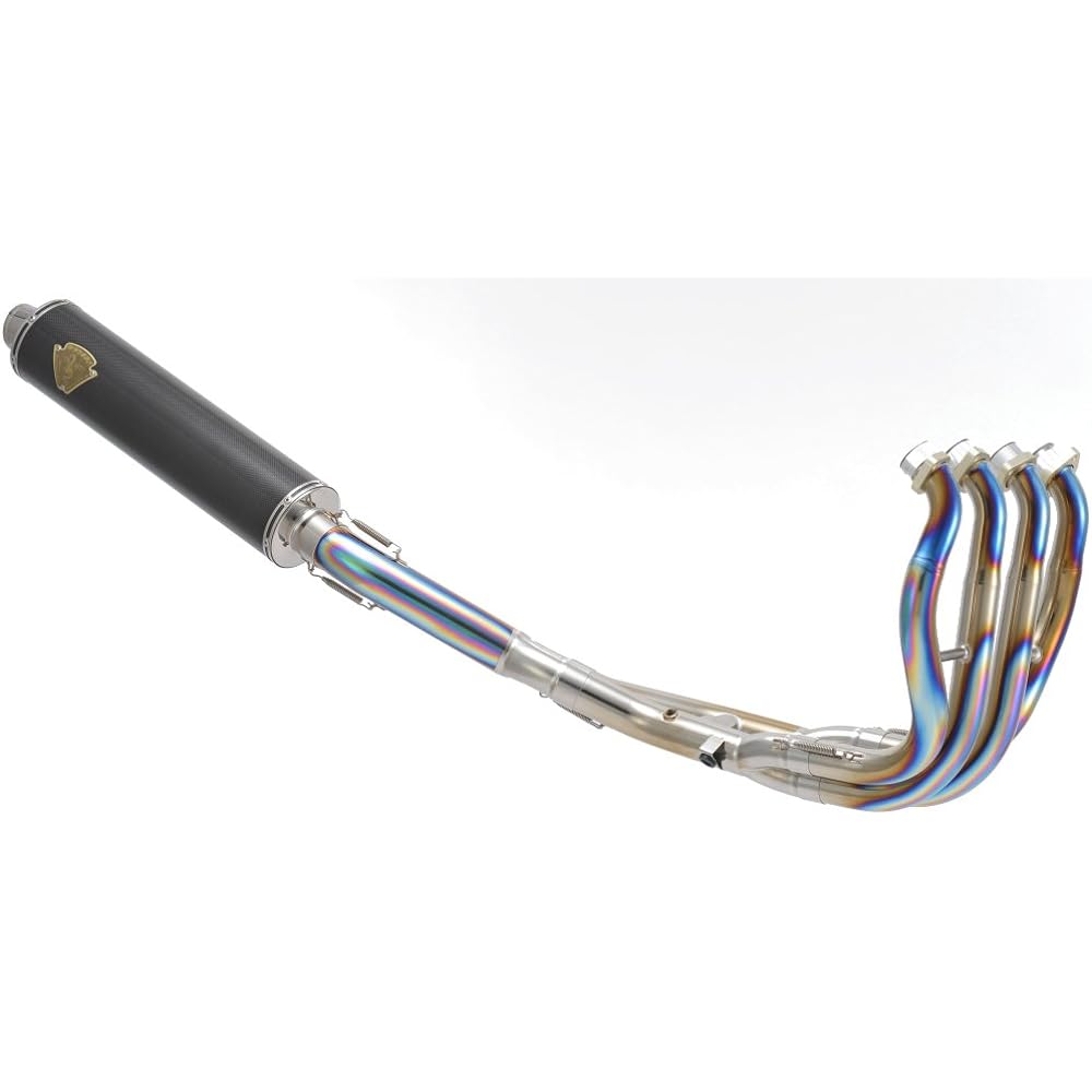 R's Gear Full Exhaust Muffler Wyvern Single Carbon GSX1300R (08-) WS07-01CF